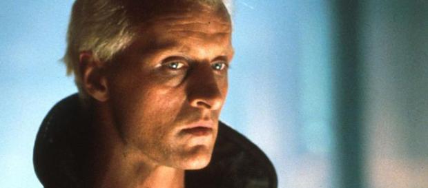 Five things you didn't know about Blade Runner: #2. Rutger Hauer ... - nationalpost.com Five things you didn't know about Blade Runner: #2. Rutger Hauer ... - nationalpost.com