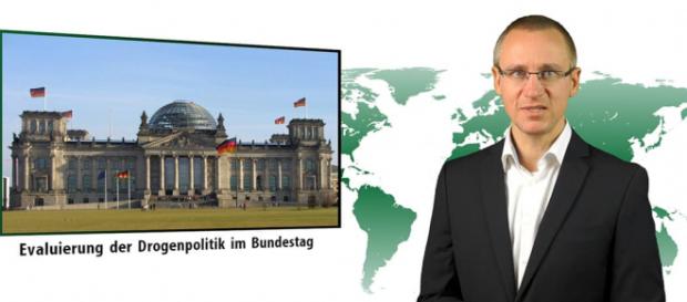 Georg Wurth vom Deutschen Hanfverband - mushroom-magazine.com Georg Wurth vom Deutschen Hanfverband - mushroom-magazine.com