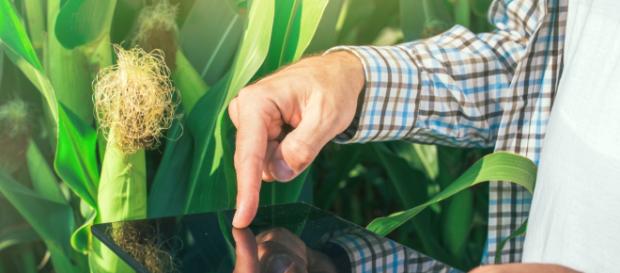 Los casos de éxito de la economía digital en la agricultura. Los casos de éxito de la economía digital en la agricultura.