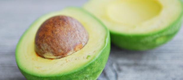 Aguacate/Avocado/ P. Americana | Zoom's Edible Plants - wordpress.com Aguacate/Avocado/ P. Americana | Zoom's Edible Plants - wordpress.com