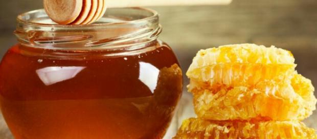 Antimicrobial properties of honey. Image Credit: Shahad Bare / YouTube screenshot Antimicrobial properties of honey. Image Credit: Shahad Bare / YouTube screenshot