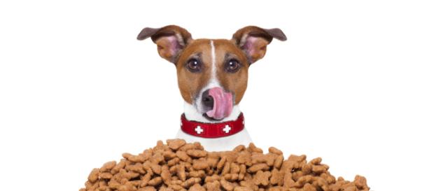 Cheerios compra empresa de alimentos para mascotas Cheerios compra empresa de alimentos para mascotas