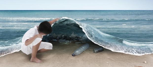 Habrá menos peces que plásticos en el mar en el 2050 Habrá menos peces que plásticos en el mar en el 2050