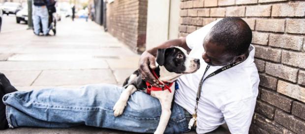 Hombre y perro indigente se encuentran el uno al otro Hombre y perro indigente se encuentran el uno al otro