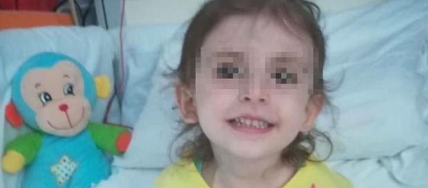 Leucemia rarissima a tre anni: a Elisa restano poche settimane /L ... - ilgazzettino.it Leucemia rarissima a tre anni: a Elisa restano poche settimane /L ... - ilgazzettino.it