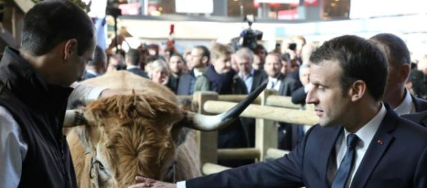 Macron en «terre de conquête» au salon de l'Agriculture - Libération - liberation.fr Macron en «terre de conquête» au salon de l'Agriculture - Libération - liberation.fr