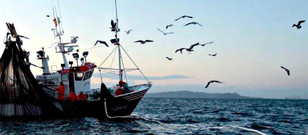 Más de la mitad del agua oceánica mundial está expuesta a la pesca ... - latercera.com Más de la mitad del agua oceánica mundial está expuesta a la pesca ... - latercera.com