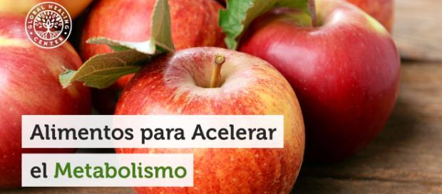 Alimentos para Acelerar el Metabolismo - globalhealingcenter.net Alimentos para Acelerar el Metabolismo - globalhealingcenter.net