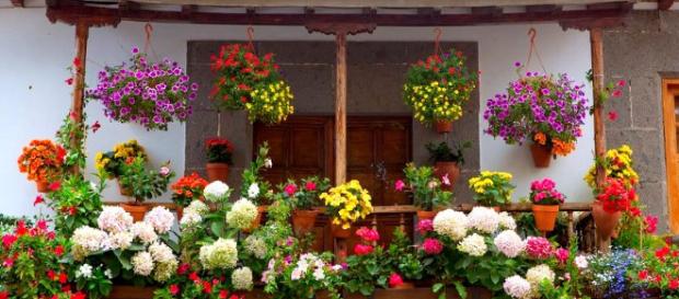 Decora tu casa de una forma económica y atractiva. Decora tu casa de una forma económica y atractiva.