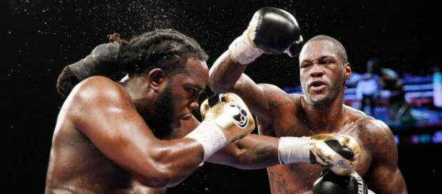 Deontay Wilder to defend WBC heavyweight title against Bermane ... - thesun.co.uk Deontay Wilder to defend WBC heavyweight title against Bermane ... - thesun.co.uk