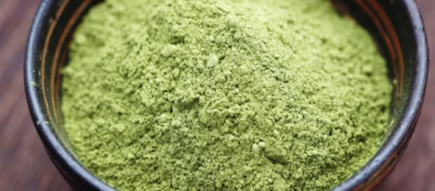 La fiebre del té matcha: el polvo verde que enloquece a las famosas - expansion.com La fiebre del té matcha: el polvo verde que enloquece a las famosas - expansion.com