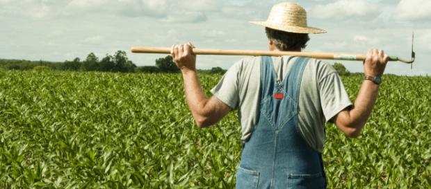 Nuevas tendencias en la agricultura con AI Nuevas tendencias en la agricultura con AI