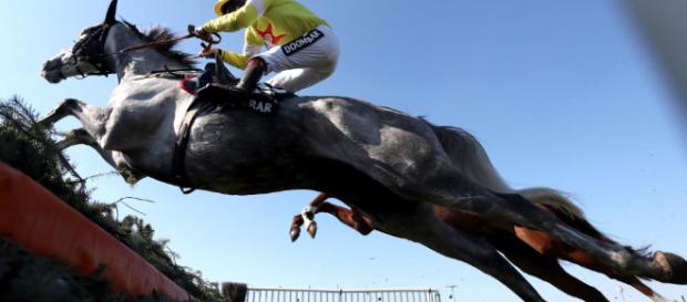 Talking Horses: Saturday's TV races guide on Betfair Hurdle day ... - scorescan.com Talking Horses: Saturday's TV races guide on Betfair Hurdle day ... - scorescan.com