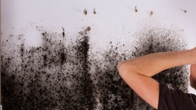 Cosa c'è da fare se notiamo macchie di umidità nell nostro appartamento