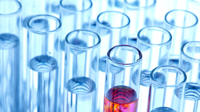 In alto, immagine rappresentativa di esperimenti in laboratorio