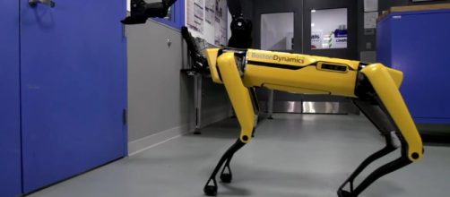 SpoMini, il cane robot dalle sorprendenti prestazioni in azione davanti ad una porta (fonte time.com)