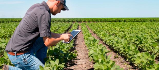 Agricultura en la era de la Transformación Digital. Agricultura en la era de la Transformación Digital.