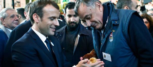 Au salon de l'agriculture, Emmanuel Macron adopte une poule Au salon de l'agriculture, Emmanuel Macron adopte une poule