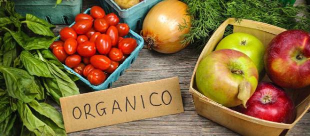 Cómo estos emprendedores pusieron de moda la agricultura orgánica. Cómo estos emprendedores pusieron de moda la agricultura orgánica.