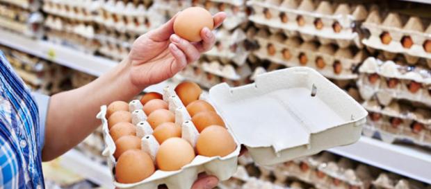 Descubra por qué los huevos se consideran uno de los alimentos más esenciales para consumir. Descubra por qué los huevos se consideran uno de los alimentos más esenciales para consumir.