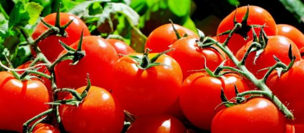 El tomate es de hecho, uno de los super alimentos legendarios utilizados en la lucha contra el cáncer . El tomate es de hecho, uno de los super alimentos legendarios utilizados en la lucha contra el cáncer .