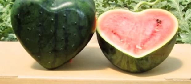 Las cotizadas sandías en forma de cubo o corazón de Japón | Vistazo - vistazo.com Las cotizadas sandías en forma de cubo o corazón de Japón | Vistazo - vistazo.com