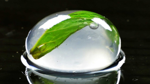 LA CUCINA MOLECOLARE - Ristorante Crudoc - ristorantecrudoc.it