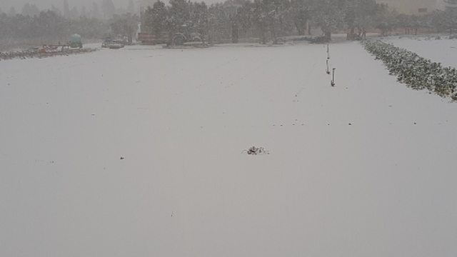 Nevica in varie zone della Puglia.
