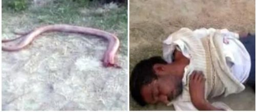 Homem fica inconsciente após morder cobra