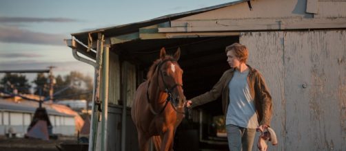 Lean on Pete: recensione del film di Andrew Haigh - Movieplayer.it - movieplayer.it