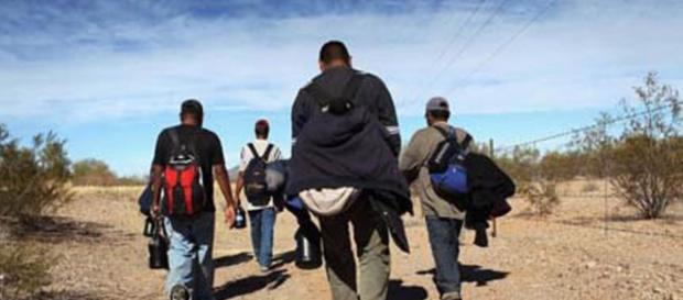 El Club de los Inmigrantes - El Estornudo - revistaelestornudo.com El Club de los Inmigrantes - El Estornudo - revistaelestornudo.com