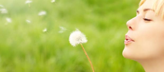 La especificidad de la precisión del deseo La especificidad de la precisión del deseo