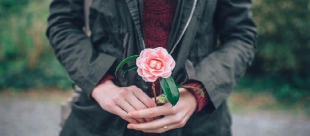 Una introducción al amor, la lujuria y el brillo de la vida Una introducción al amor, la lujuria y el brillo de la vida