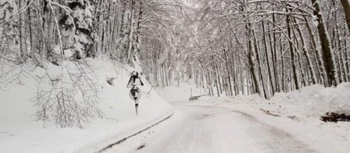 Meteo, maltempo in arrivo: tornerà anche la neve a bassa quota - forlitoday.it