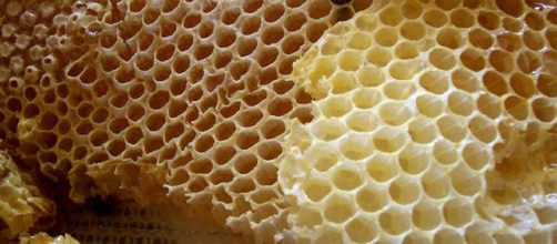 Propiedades antibióticas de la miel