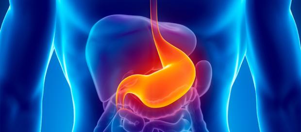 Cuidar nuestra alimentación, favorecerá enormemente a nuestro aparato digestivo Cuidar nuestra alimentación, favorecerá enormemente a nuestro aparato digestivo