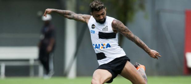 Gabriel é um dos jogadores da base do Santos a ir para a Libertadores Gabriel é um dos jogadores da base do Santos a ir para a Libertadores