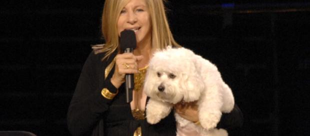 Barbra Streisand e la clonazione del suo cane Samantha - huffingtonpost.it Barbra Streisand e la clonazione del suo cane Samantha - huffingtonpost.it