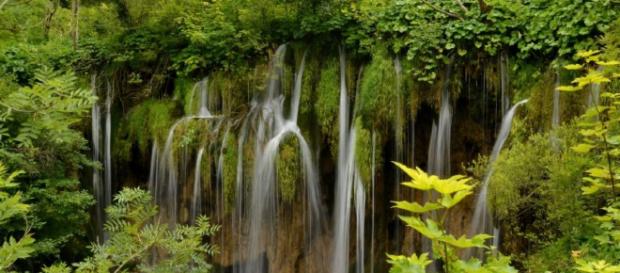 Se dice que la selva tropical es reguladora del clima mundial Se dice que la selva tropical es reguladora del clima mundial