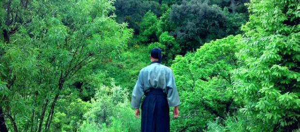 Shinrin Yoku una propuesta para la salud y la prevención de las enfermedades Shinrin Yoku una propuesta para la salud y la prevención de las enfermedades