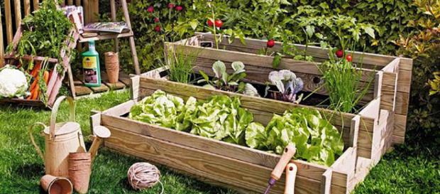 Agricultura social: Donde los jardines urbanos pueden crecer. Agricultura social: Donde los jardines urbanos pueden crecer.