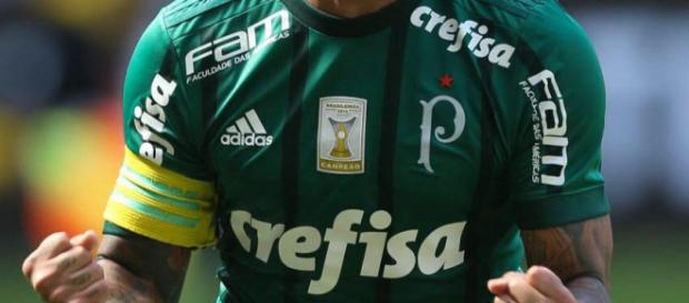 Camisa alviverde com todos os patrocínios Camisa alviverde com todos os patrocínios