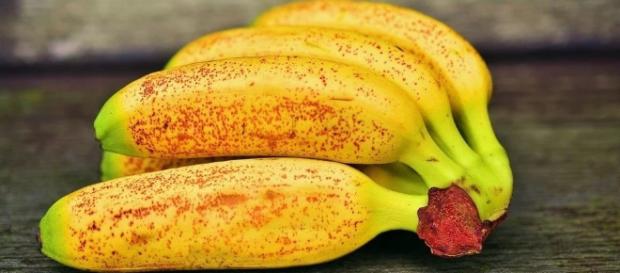 Dal Giappone la banana con la buccia sottile, dolce, morbida che ... - improntaunika.it Dal Giappone la banana con la buccia sottile, dolce, morbida che ... - improntaunika.it