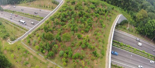 ¿Destruir autopistas o ponerles peaje?. ¿Destruir autopistas o ponerles peaje?.
