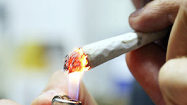 Marijuana Light, aumenta consumo in italia: pro e contro