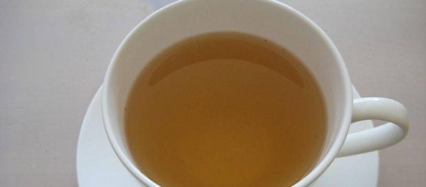 Cuál es el mejor té para bajar de peso? :: Té para adelgazar: las ... - innatia.com Cuál es el mejor té para bajar de peso? :: Té para adelgazar: las ... - innatia.com