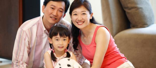 Familia reglamentaria china, antes del 2015 Familia reglamentaria china, antes del 2015