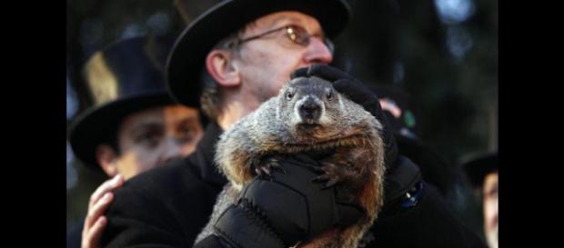 Estados Unidos celebró el tradicional "Día de la Marmota" | Fotos ... - peru.com Estados Unidos celebró el tradicional "Día de la Marmota" | Fotos ... - peru.com
