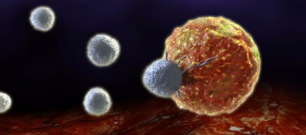 Le sane abitudini allontanano il rischio di cancro. In occasione della Giornata mondiale contro il cancro le 12 regole d'oro per la prevenzione Le sane abitudini allontanano il rischio di cancro. In occasione della Giornata mondiale contro il cancro le 12 regole d'oro per la prevenzione
