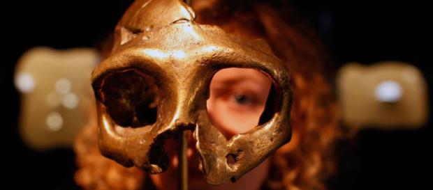 Os Neandertais | VEJA.com - com.br Os Neandertais | VEJA.com - com.br